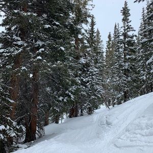 Meet your Posher, Jerome